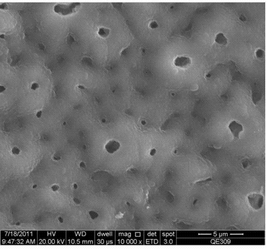 Composite coating with anti-corrosion lubricating property of surface of magnesium alloy, preparation method thereof