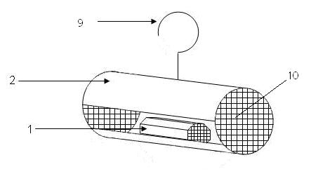 Method for continuously releasing parasitic natural enemy insects