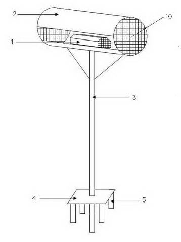 Method for continuously releasing parasitic natural enemy insects