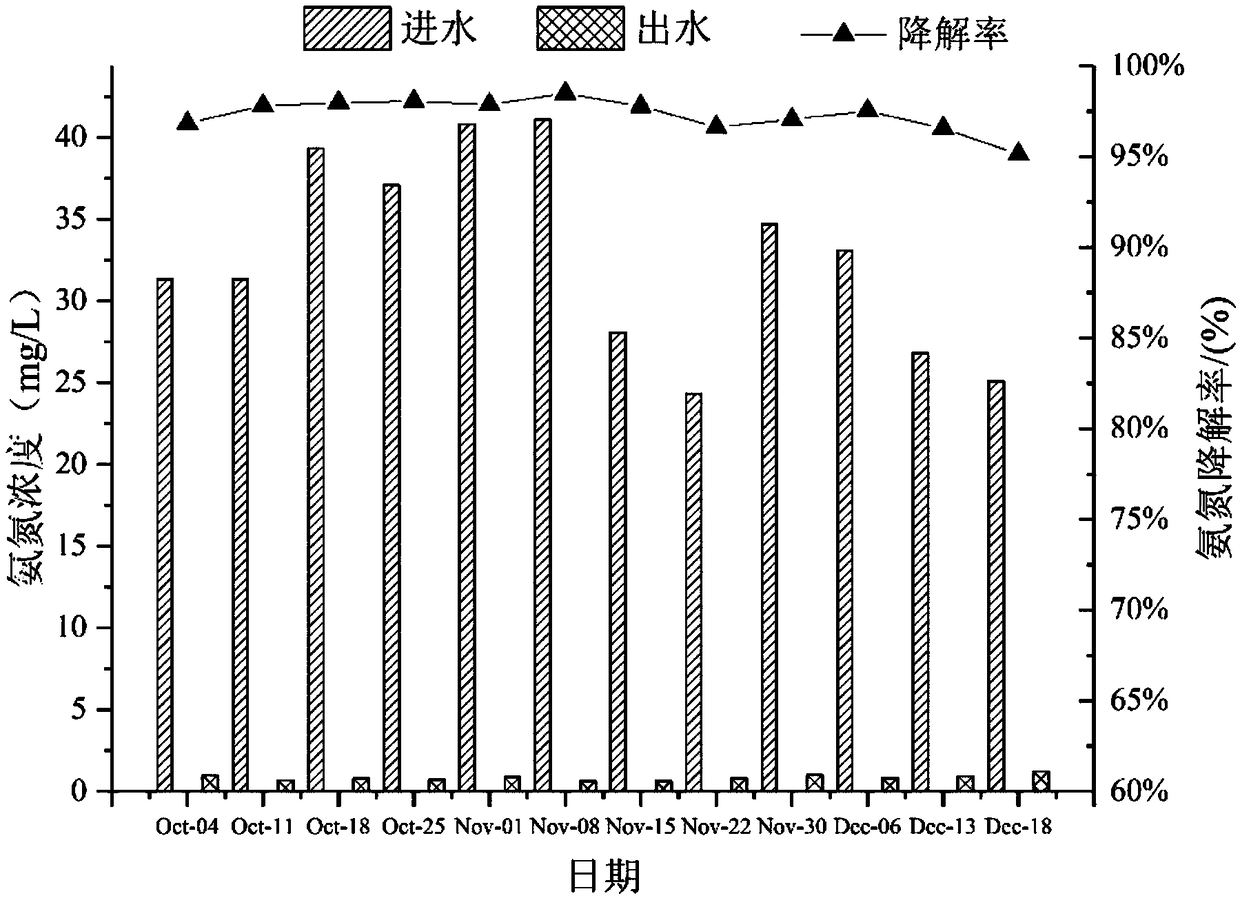 Artificial wetland system for treating black and odorous water body and operation method of artificial wetland system