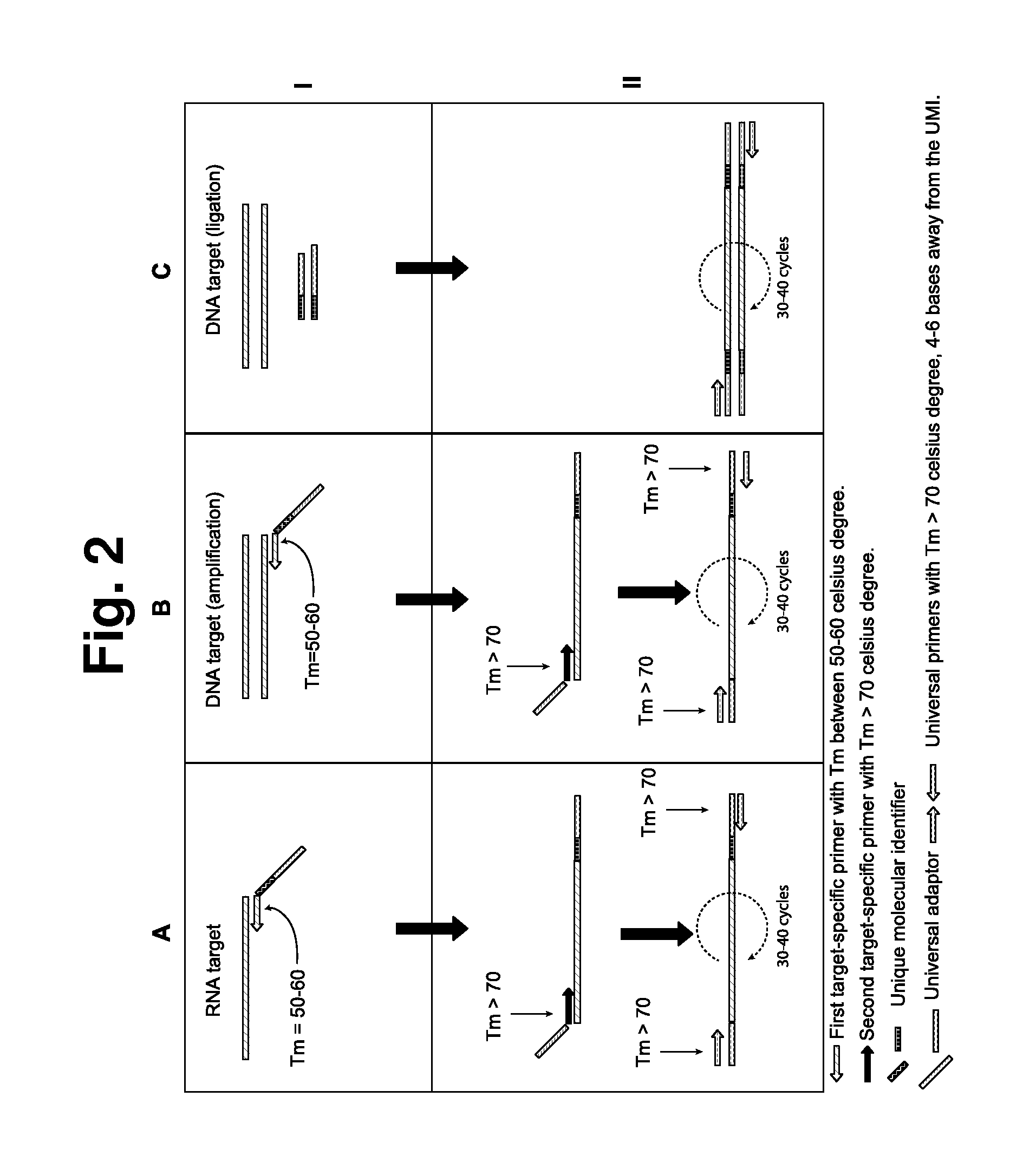 Method for increasing accuracy in quantitative detection of polynucleotides