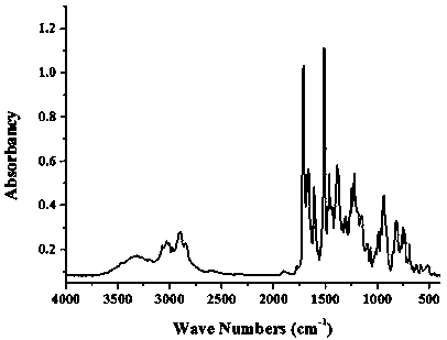 Method for modifying benzoxazine resin through chain extension in maleimide