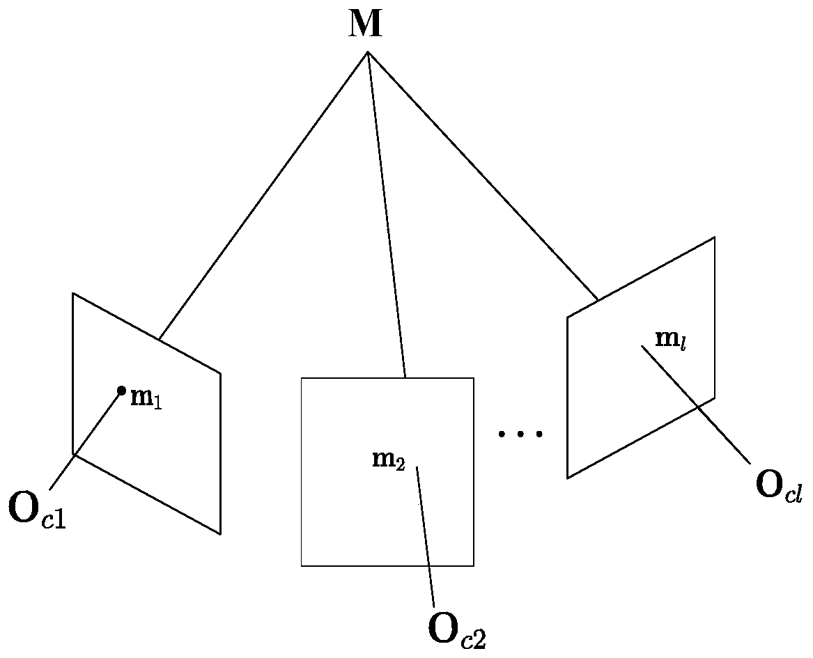 Food volume measurement method based on electric field force model