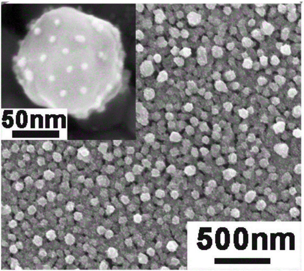 Silicon-based SERS chip for quantitatively detecting lead ion concentration in actual water sample and preparation method thereof