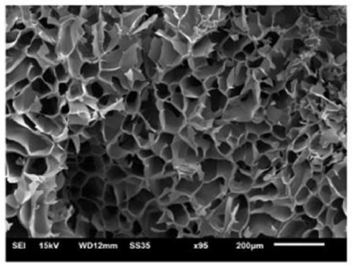 Injectable polyamino acid hydrogel for cartilage repair and preparation method of injectable polyamino acid hydrogel