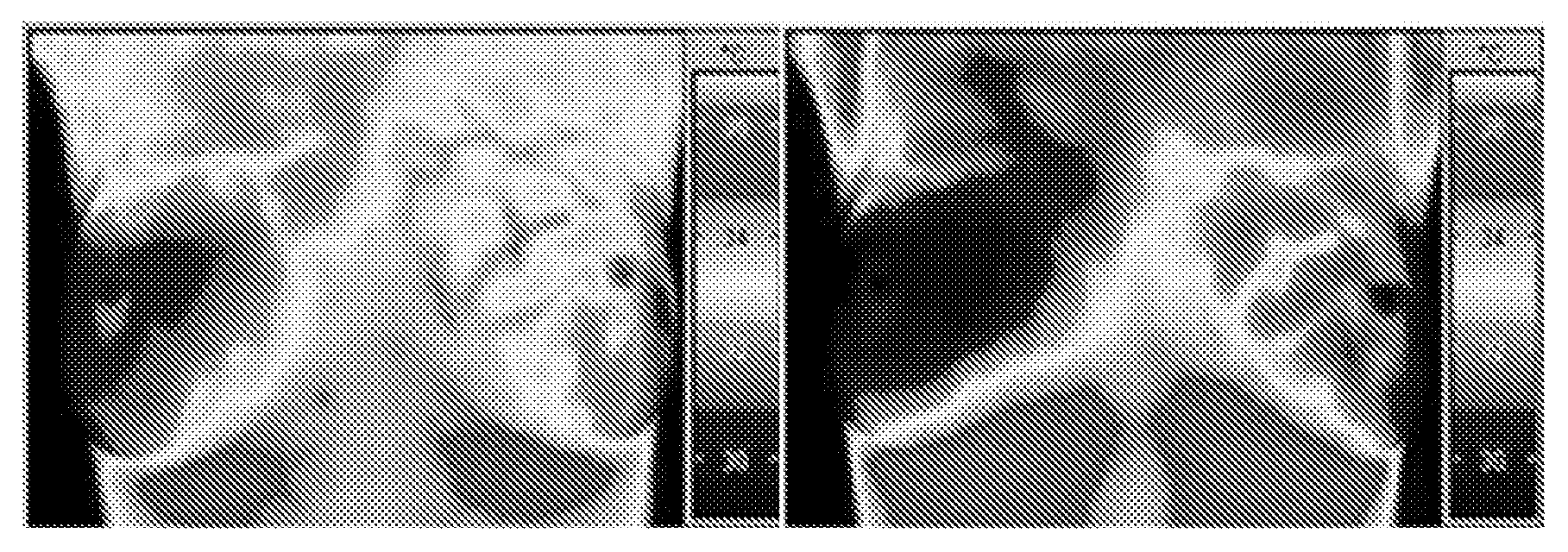 Infrared Multi-Spectral Camera and Process of Using Infrared Multi-Spectral Camera