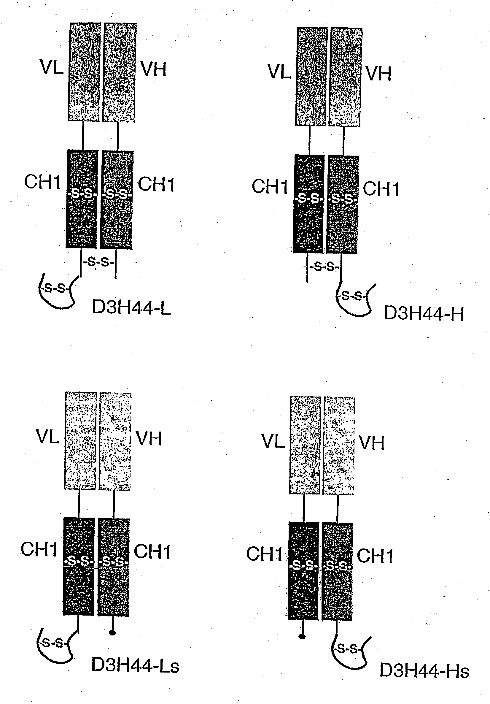 Serum albumin binding peptides for tumor targeting