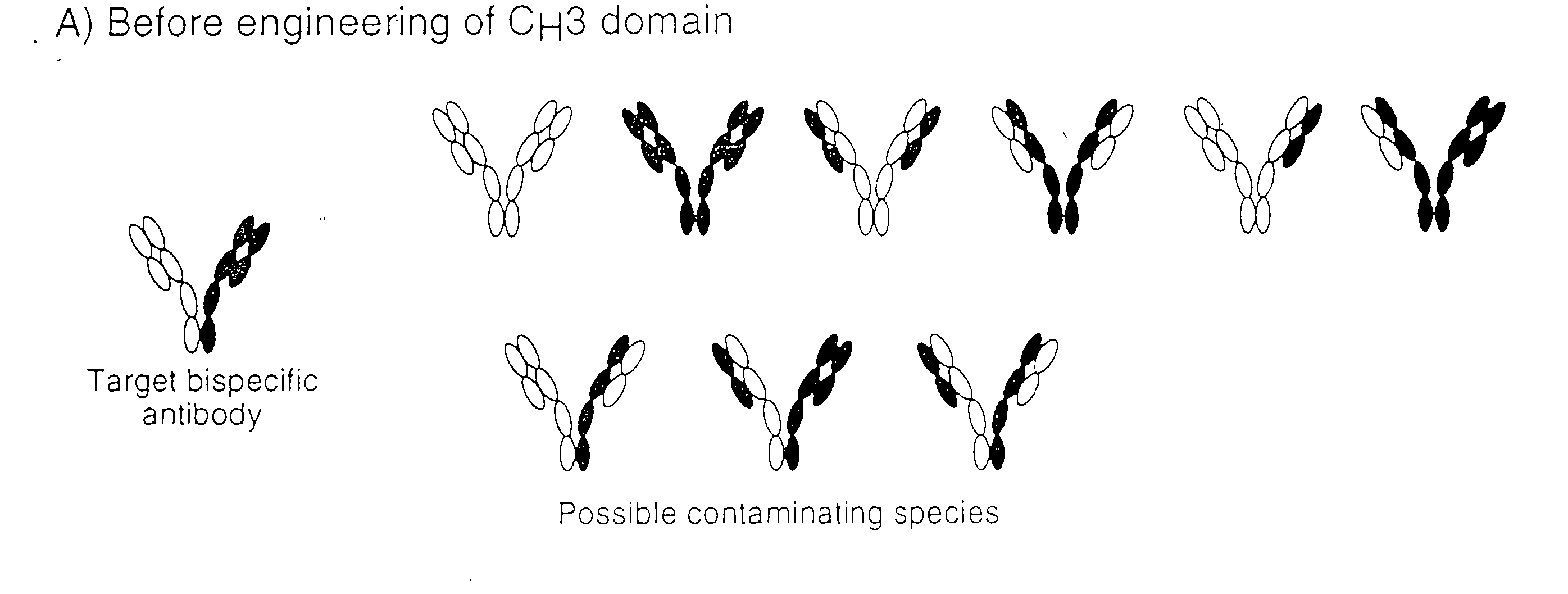 Method for Making Multispecific Antibodies Having Heteromultimeric and Common Components