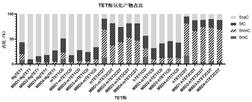 Recombinant protein structural domain enhanced TET enzyme and whole genome DNA methylation detection method