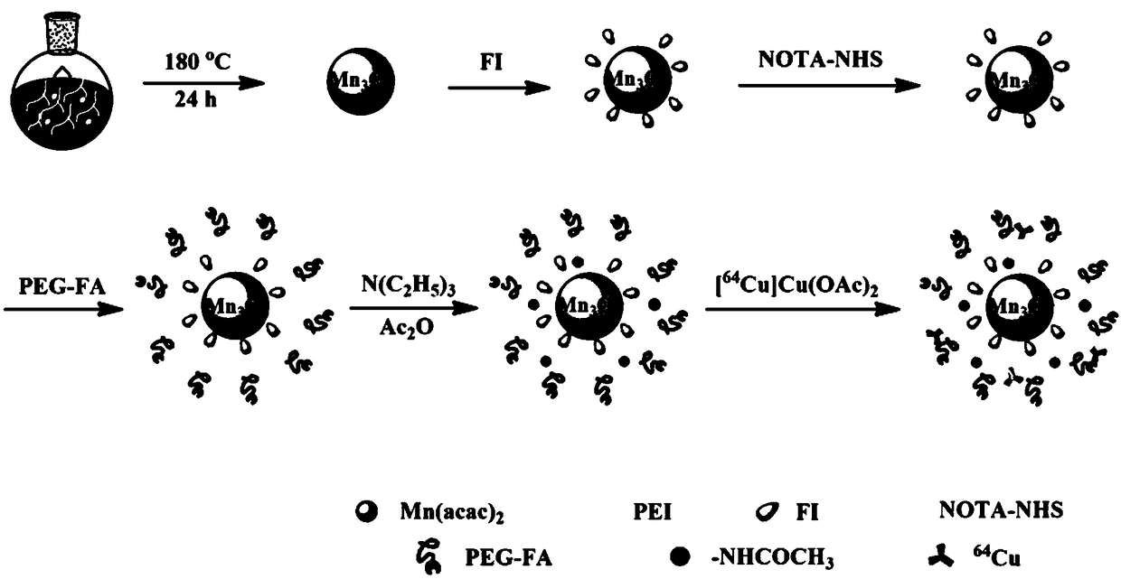 A preparation method of 64cu-labeled folic acid-targeted functionalized polyethyleneimine stabilized trimanganese tetraoxide nanoparticles