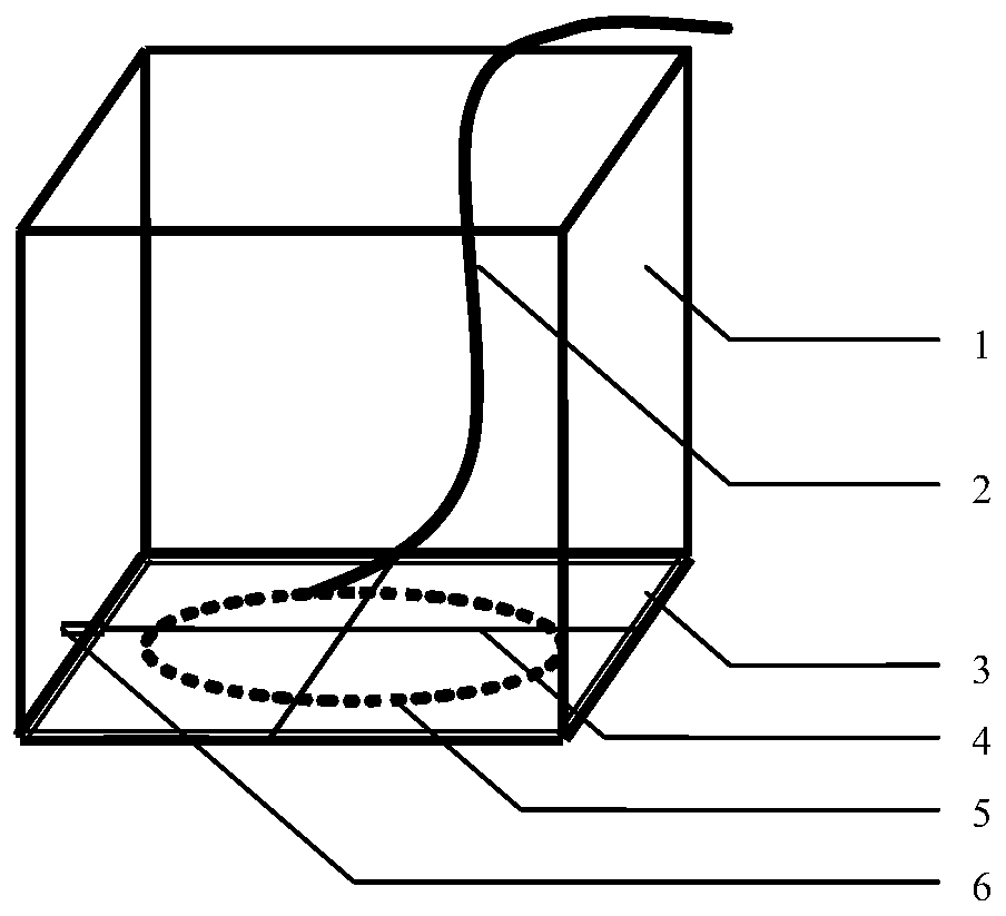 A long-distance transport method of micro-oxygenation for seedlings of cuttlefish for indoor breeding