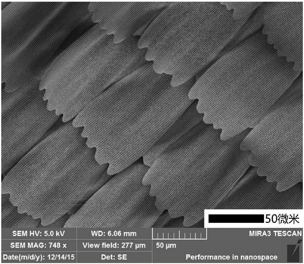 A tio with photonic crystal properties  <sub>2</sub> Preparation method of nanoparticles