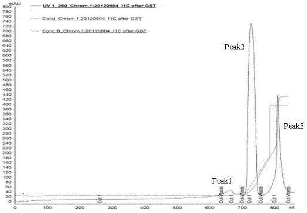 Purifying method of methicillin-resistant staphylococcus aureus MRSA recombinant protein vaccine I1C