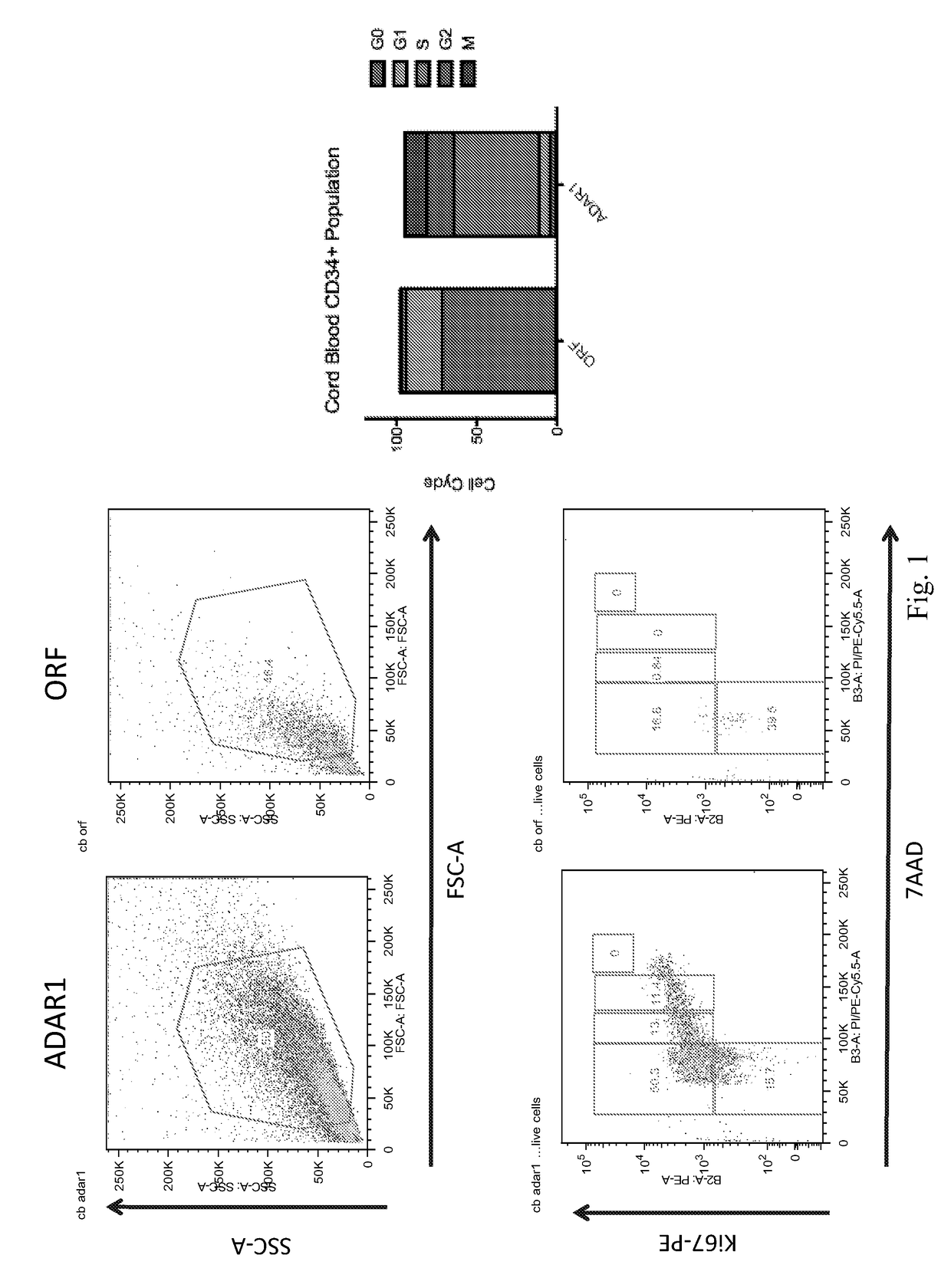 RNA editing biomarkers for diagnosis, pharmacological screening and prognostication in cancer