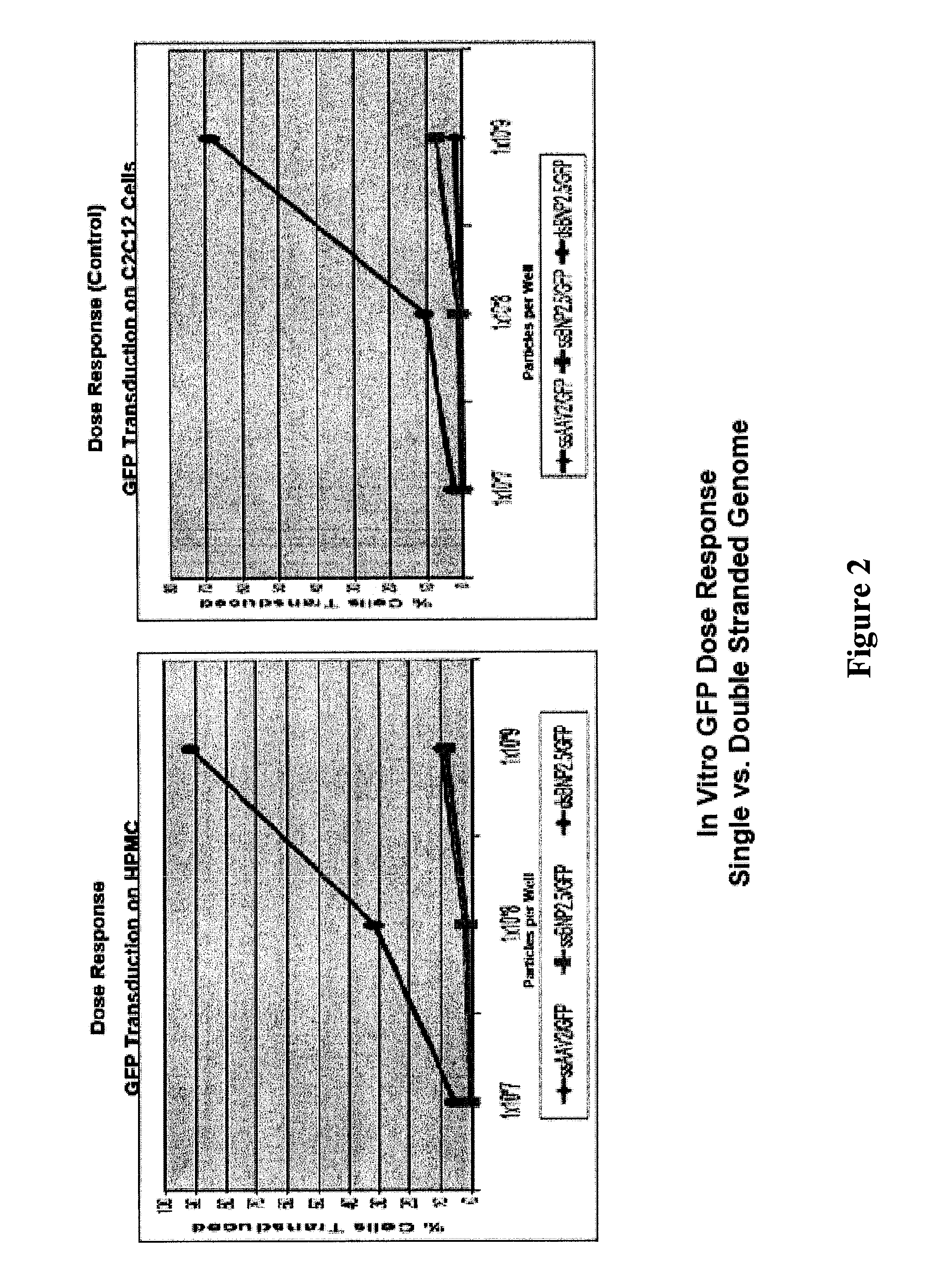 Modified factor viii and factor ix genes and vectors for gene therapy