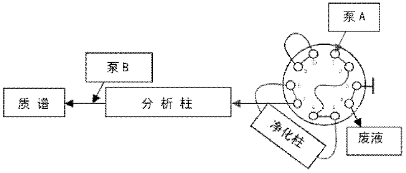 Quantitative detecting method for estrogen in milk