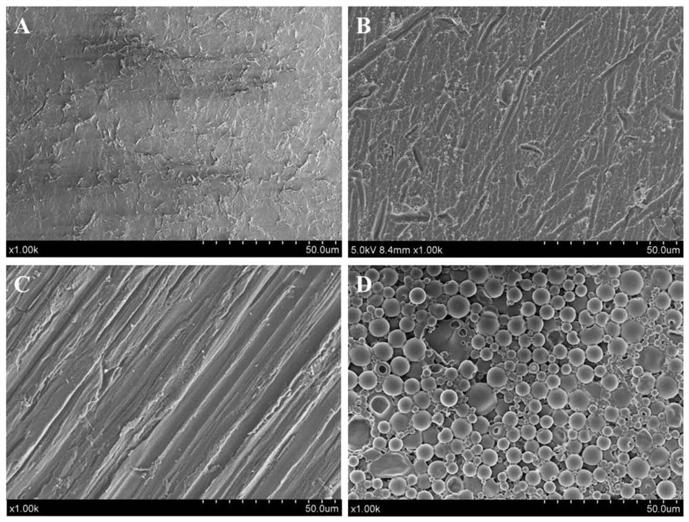 PEEK composite biological implant material loaded with BMP-2 gene slow-release coating and preparation method of PEEK composite biological implant material