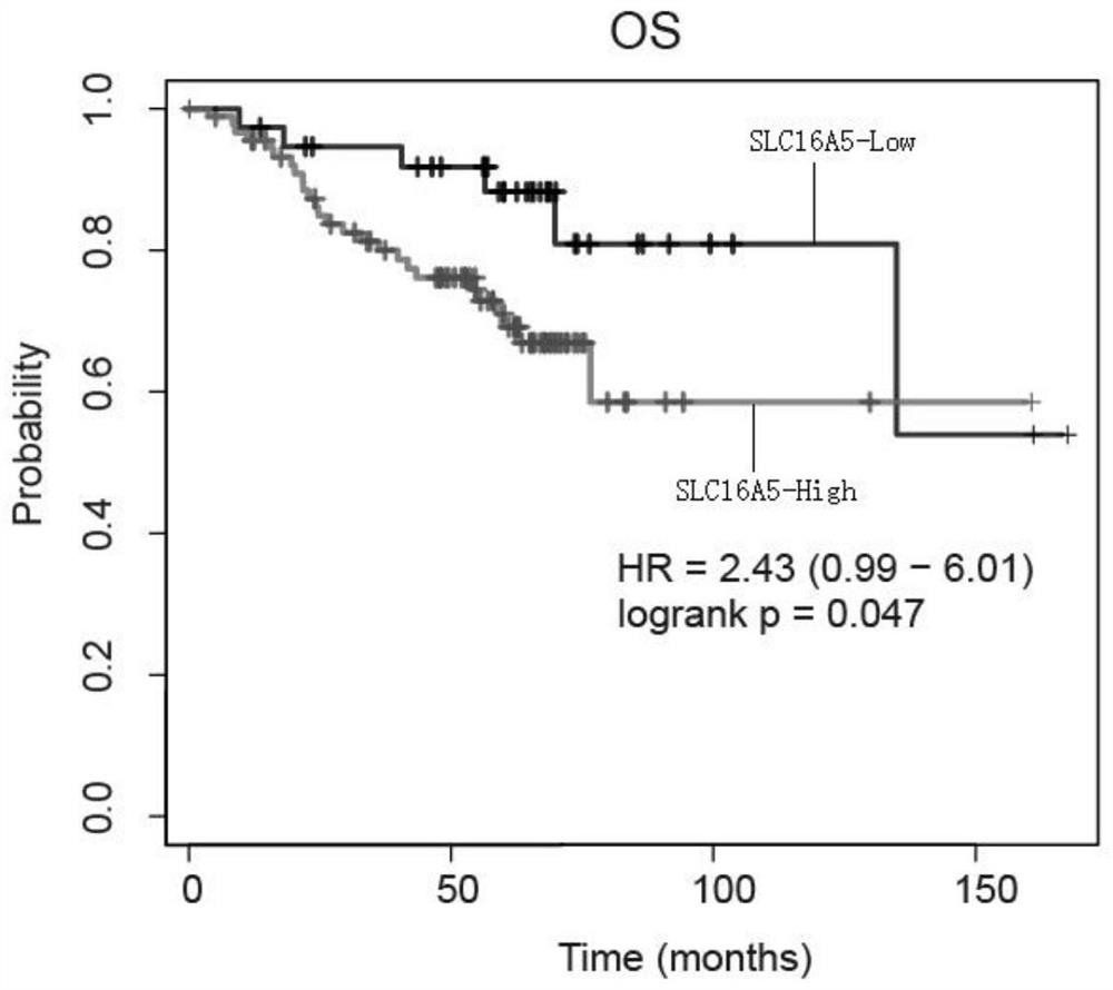 Breast cancer prognosis marker and application