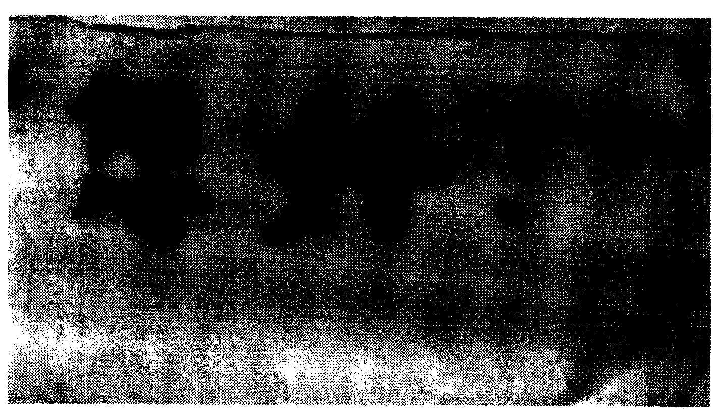 Fireproof, moisture-resistant and high-tenacity gel paper and method for preparing same