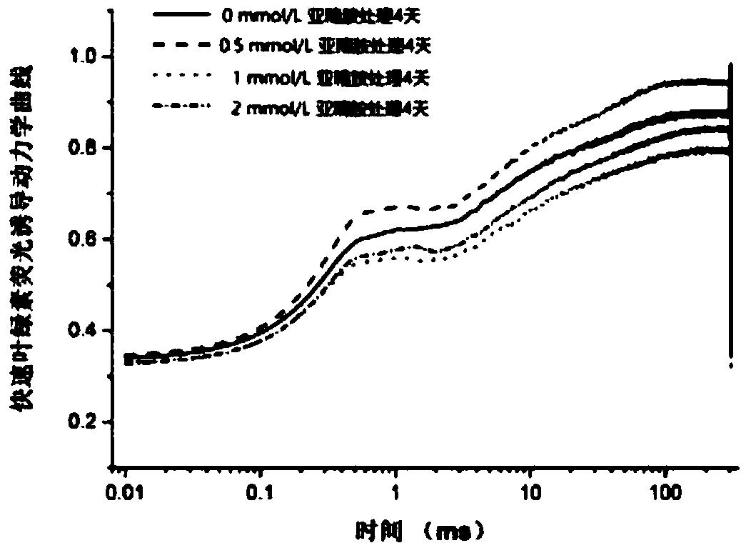 Method of Improving Heat Resistance of Cool-Season Turf Grass Tall Fescue Using External Application of Spermidine