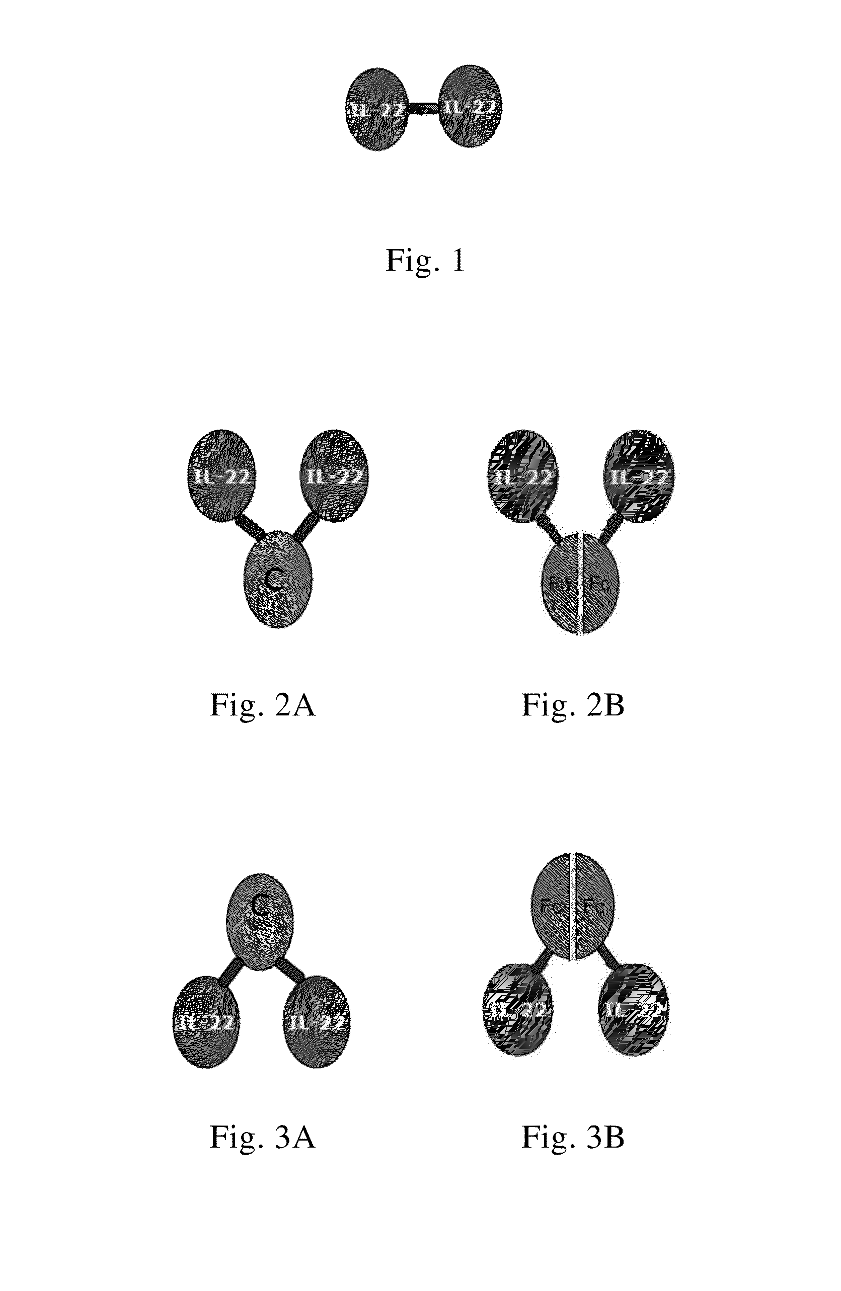 Use of interleukin-22 in treating viral hepatitis