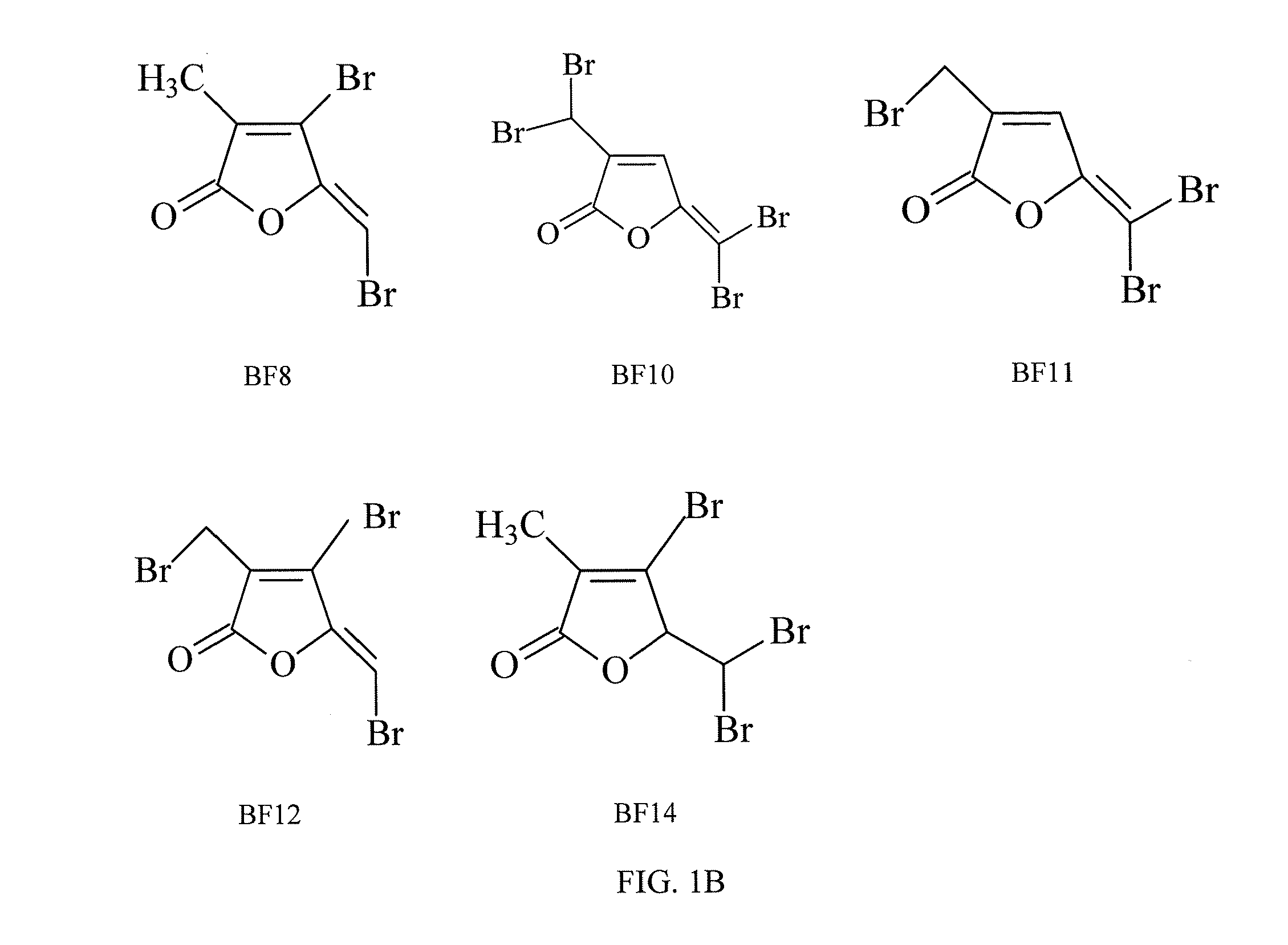 System and method for controlling growth of microorganisms with brominated furanones