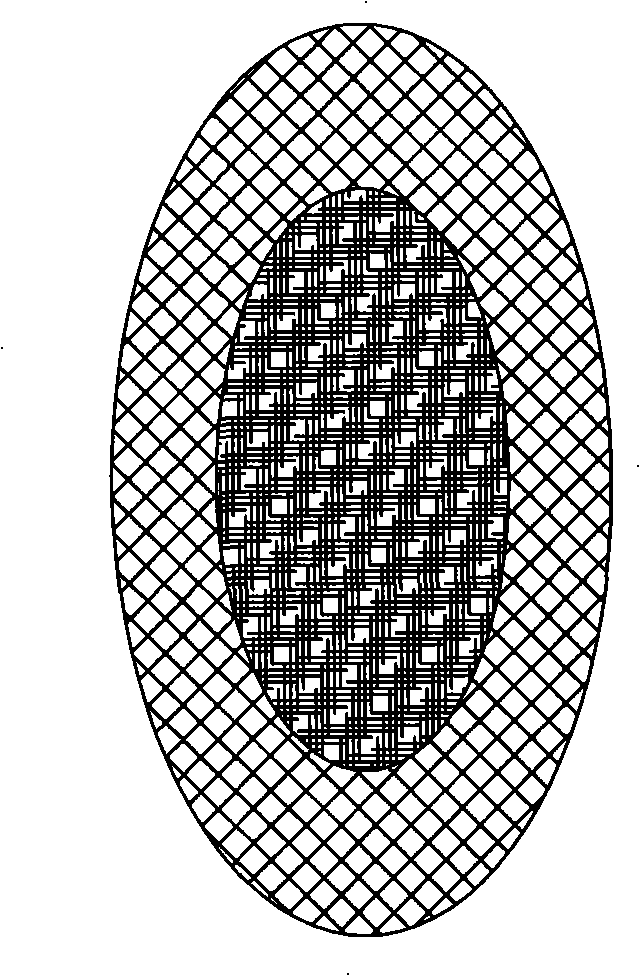 Externally used medical ointment for treating dermatosis, uses, preparation method and apparatus thereof