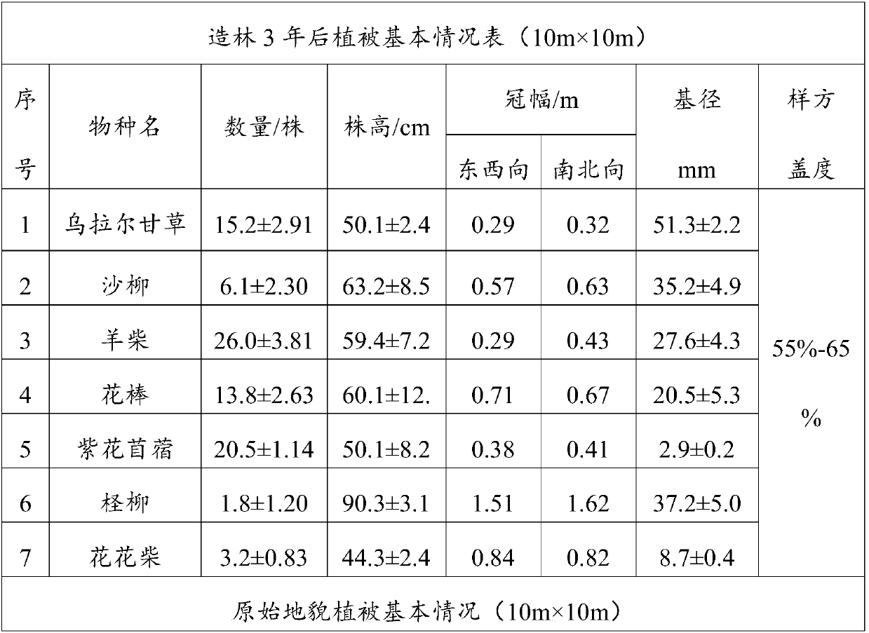 Afforestation method for desertification salinization land