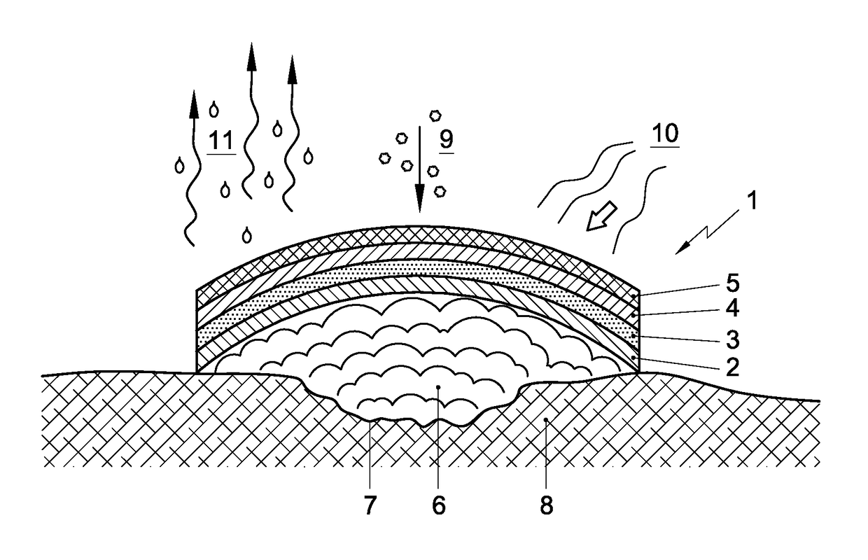 Disinfecting wound dressing and process for preparing such