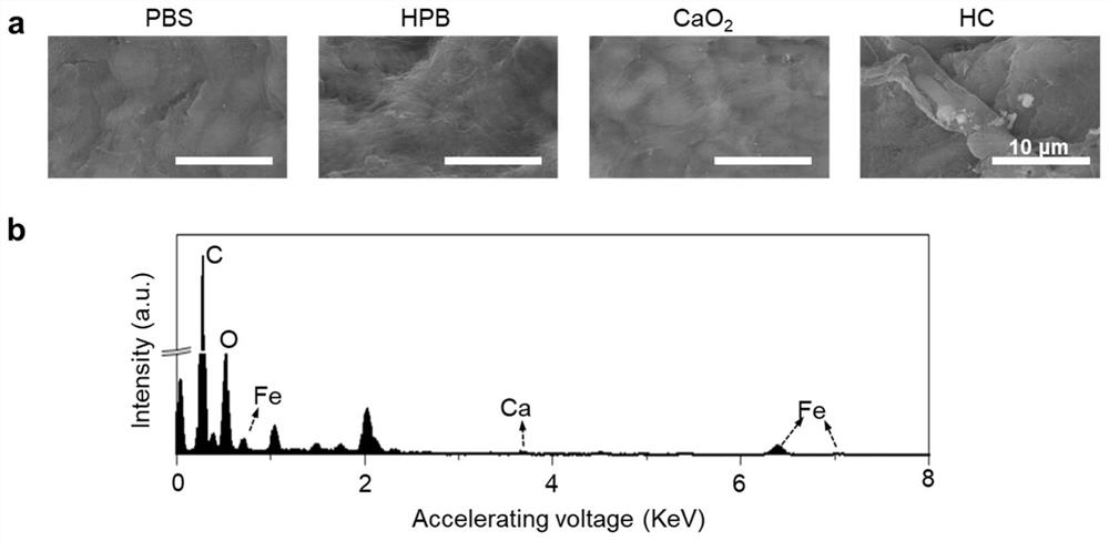 A kind of Prussian blue/calcium peroxide nanocomposite material and its preparation method and application