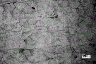 Aluminum-based in-situ composite material formed based on laser 3D printing and preparation method of aluminum-based in-situ composite material