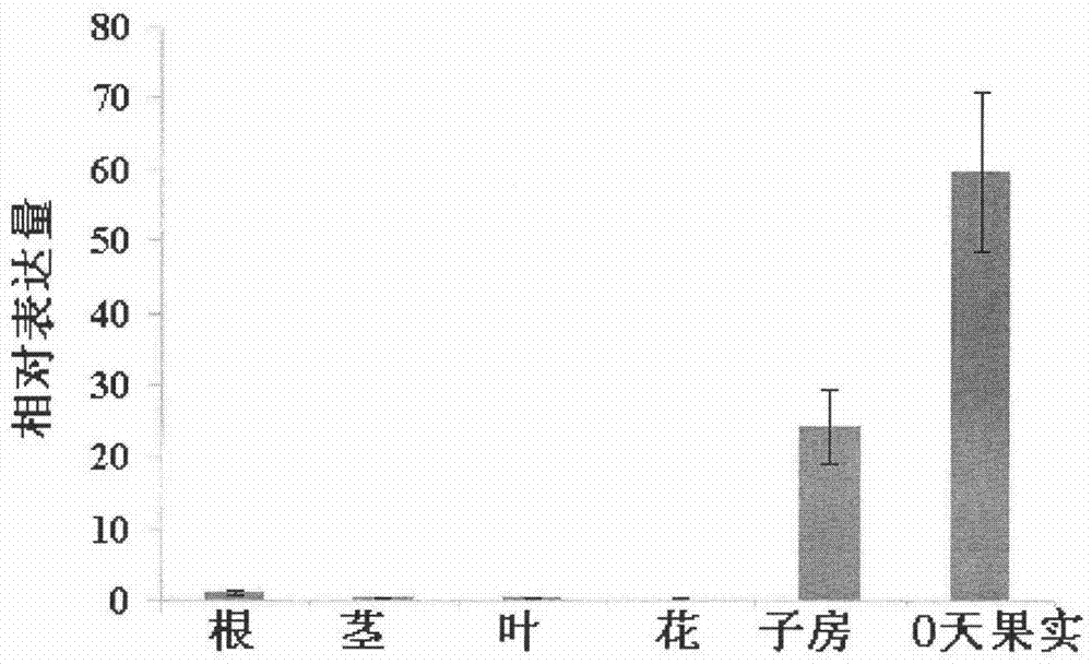 A gene for improving plant fruit quality and its encoded product and application