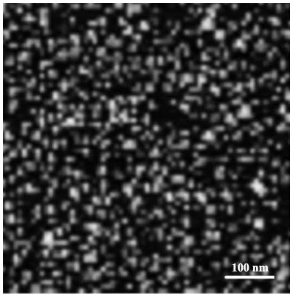 Nucleic acid-drug-loaded nano material for improving tumor permeability through VEGF response and preparation method and application thereof