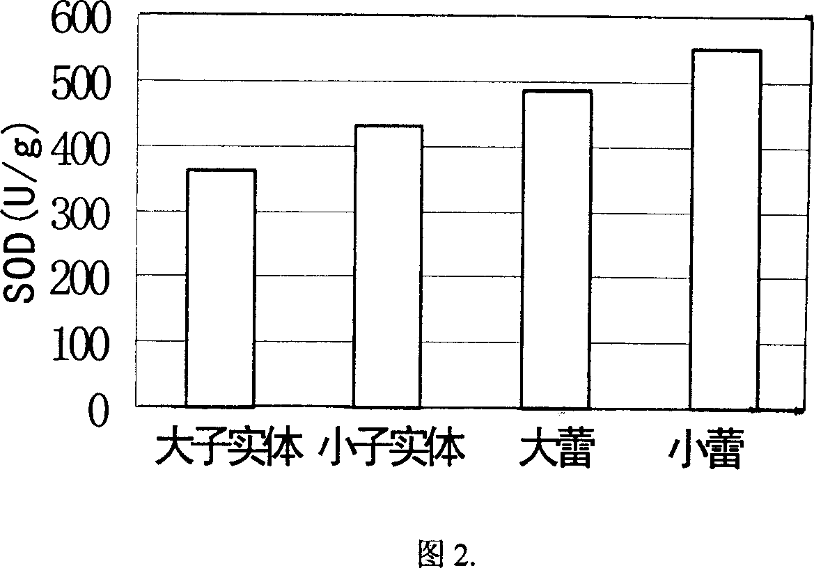 Extraction technology of edible fungus chaff superoxide dismutase