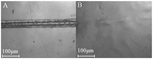 Preparation method for subject-object self-repairing transparent film