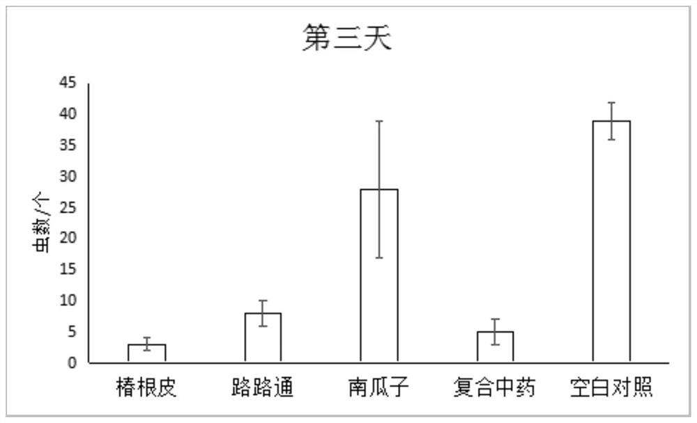 Compound traditional Chinese medicine for preventing and treating fish ringworm disease and its preparation and application method