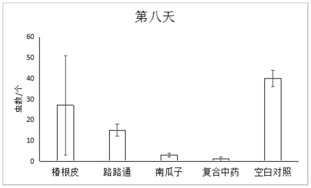 Compound traditional Chinese medicine for preventing and treating fish ringworm disease and its preparation and application method