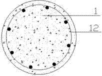 Construction waste recycled aggregate composite carrier pile and preparation method thereof