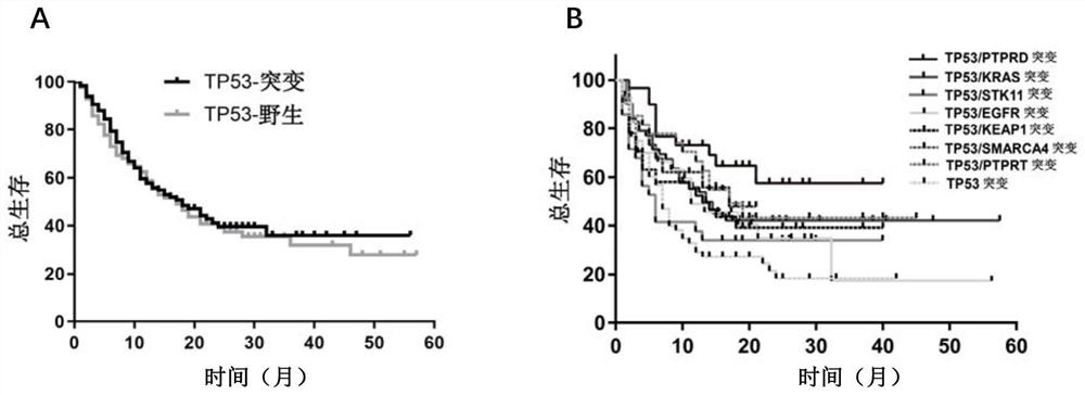 Application of PTPRD gene mutation in predicting immunotherapy sensitivity of TP53 mutant lung cancer patient