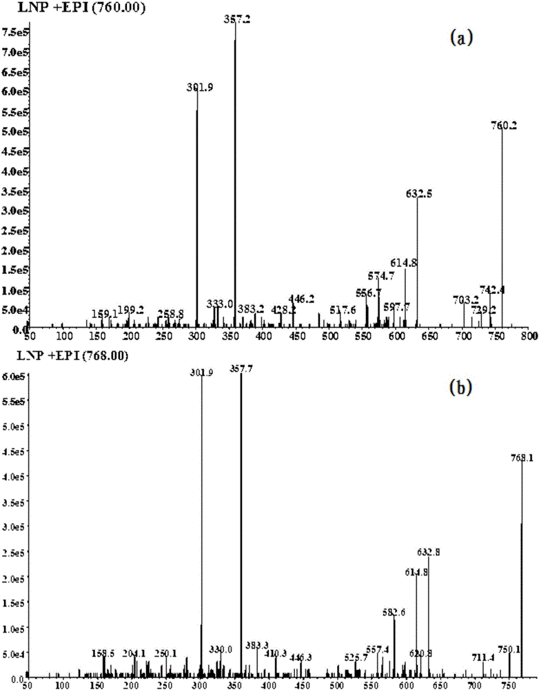 Drug reactive metabolite mass spectrum detection probe and application thereof