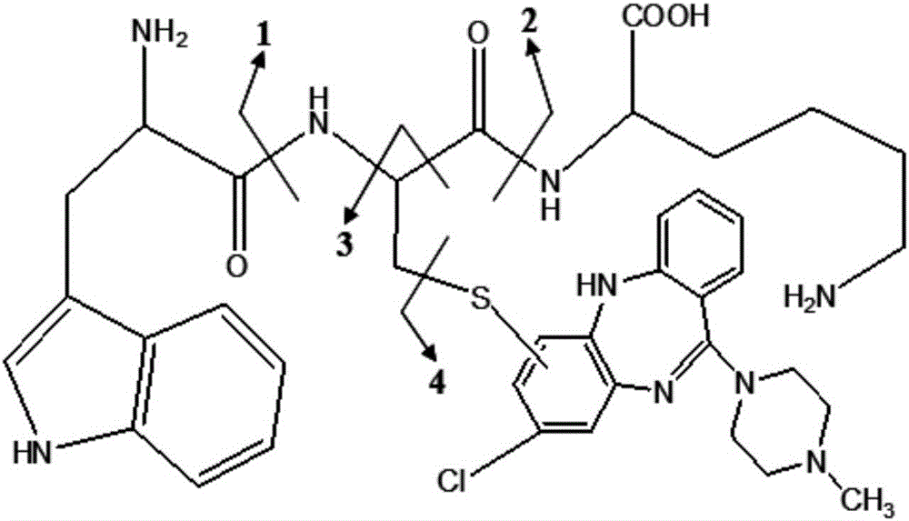 Drug reactive metabolite mass spectrum detection probe and application thereof