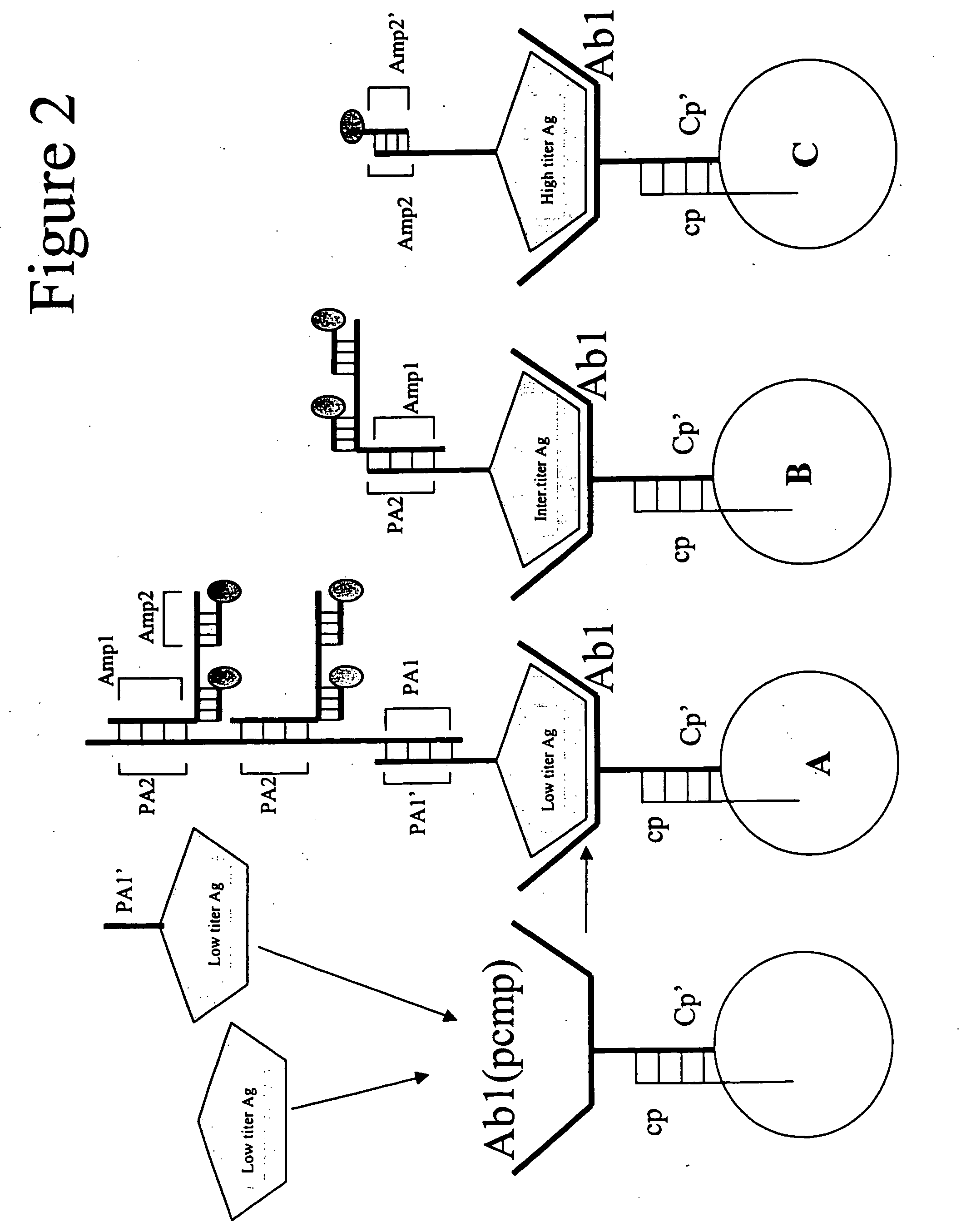 Three dimensional apparatus and method for integrating sample preparation and multiplex assays