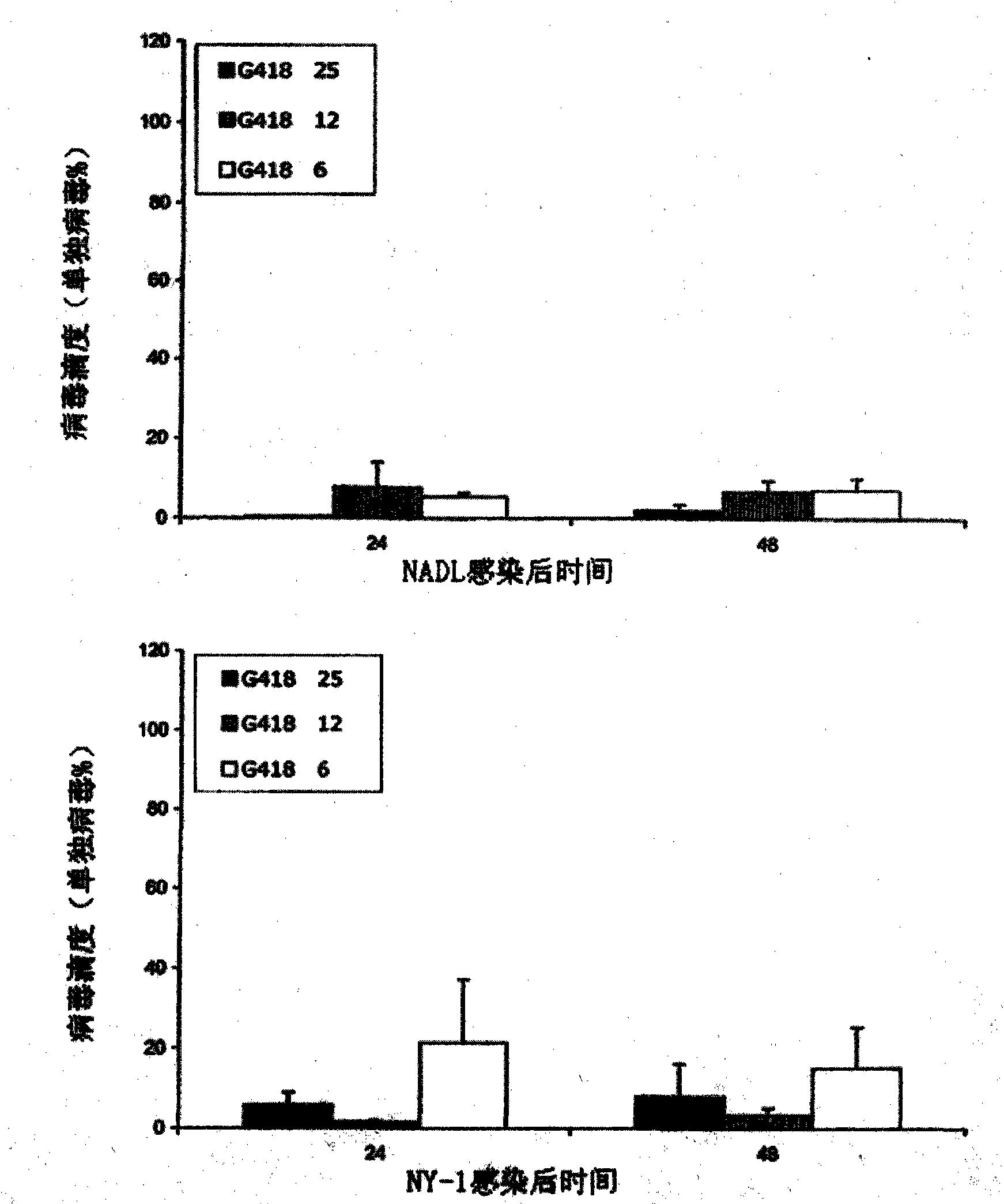 2-amino-2,7-dideoxy-alpha-D-glycero-D-gluco-heptopyranosyl inhibitors of positive sense single-stranded RNA envelope viruses