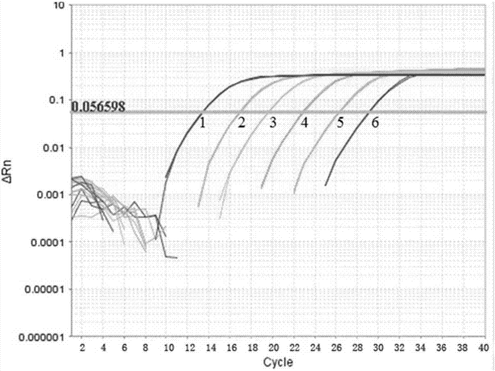 Porcine circovirus type III SYBR Green I real-time fluorescent quantitative PCR detection primer pair and kit