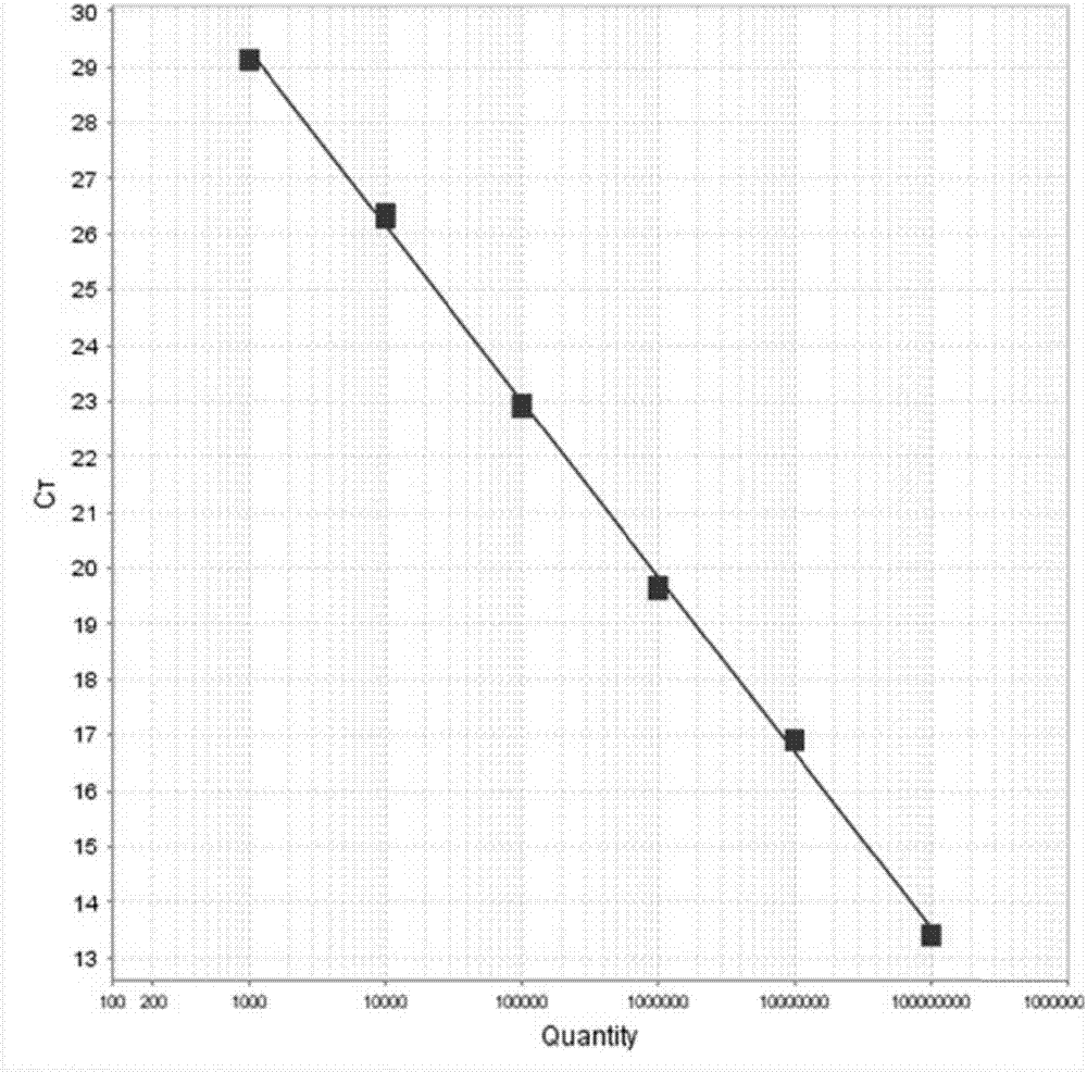 Porcine circovirus type III SYBR Green I real-time fluorescent quantitative PCR detection primer pair and kit