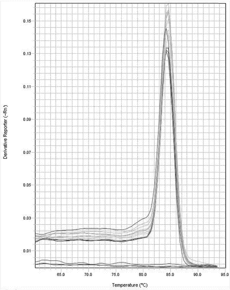 Porcine circovirus type III SYBR Green I real-time fluorescent quantitative PCR detection primer pair and kit