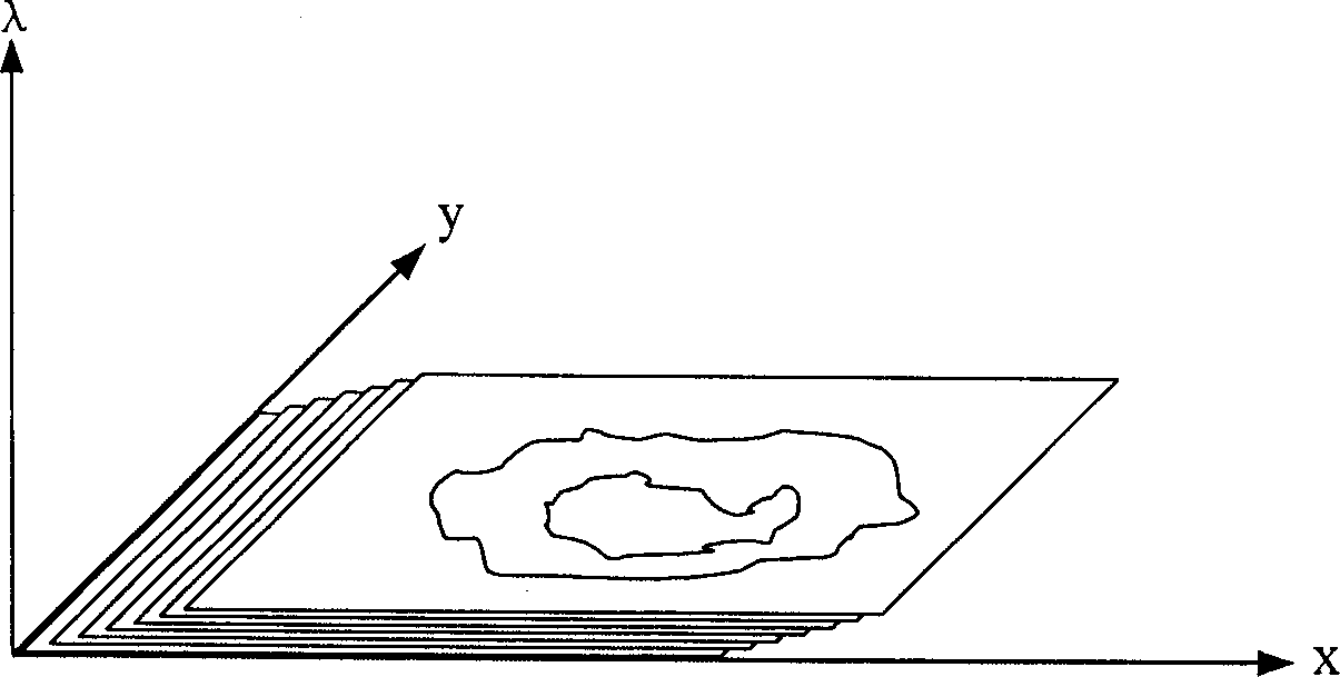 Raster and prism combined ultraspectrum method for measuring image