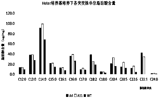 Euglena culture medium