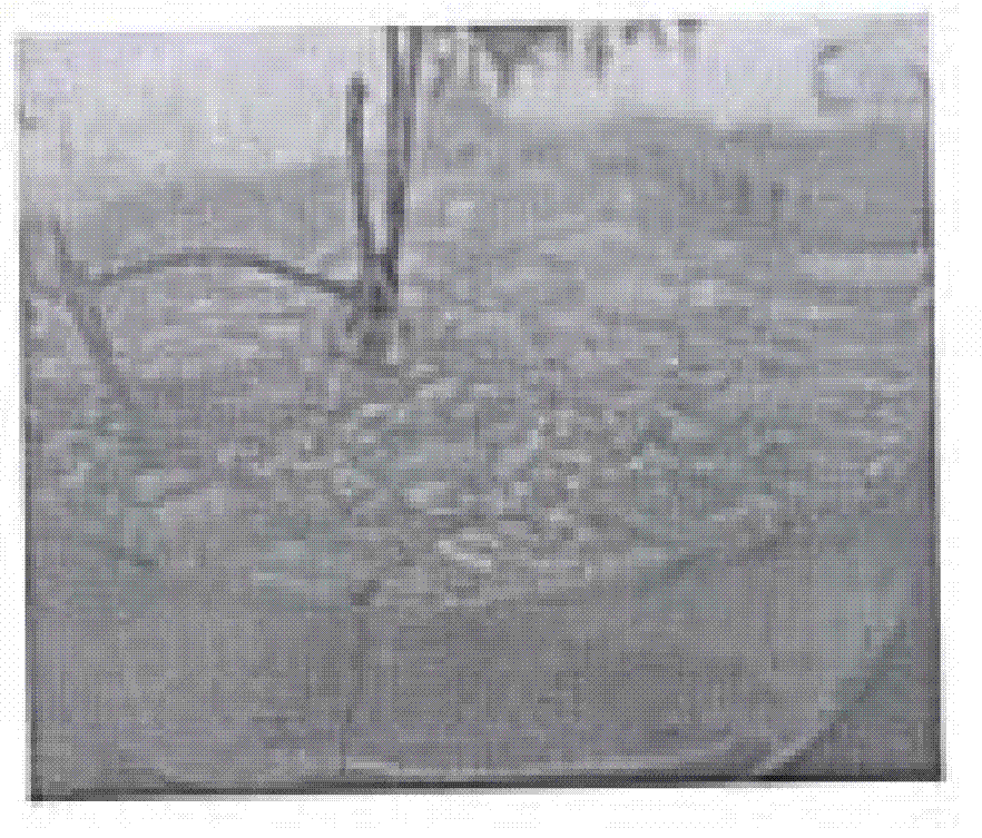 Strain of endophytic Streptomyces lydicus DOR3-2 of Chinese yam and its application