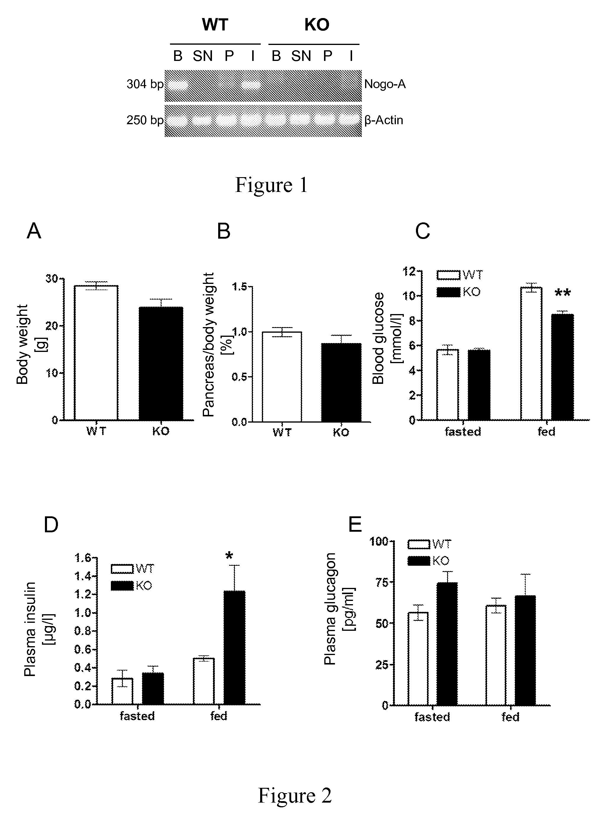 Uses of NOGO-A inhibitors and related methods